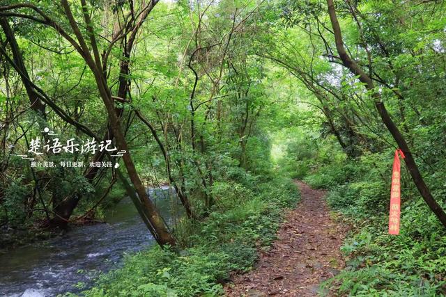浙江宁波的山海古村，3条古道构成桃源秘境，被誉为治愈系玩水地