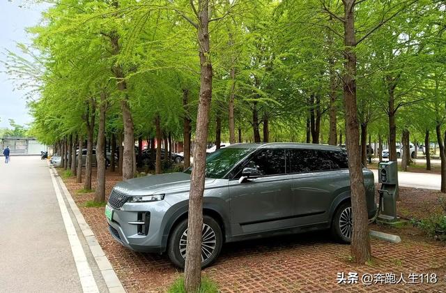 奔向雪域高原，滇藏行一:从钦州到昆明，再到楚雄