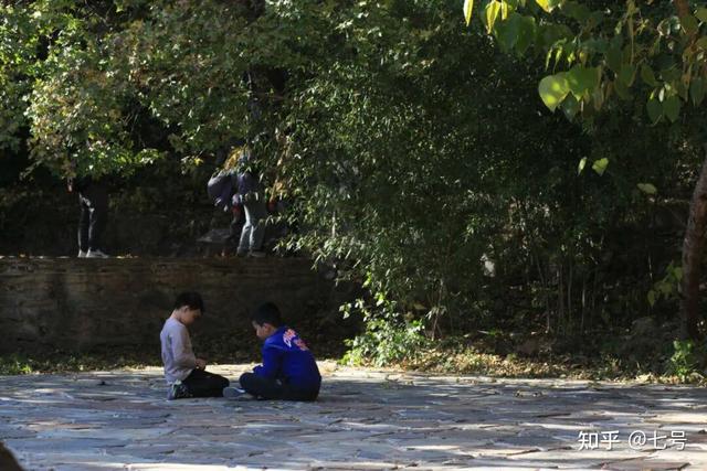 在八大处，寻到了北京最美的秋