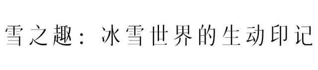 冬天上山，赴一场“仙境之约”
