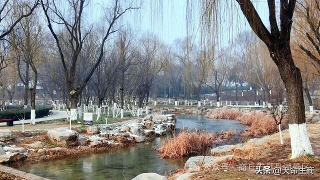 冬日的浪漫，藏在商丘日月湖的晨霜里