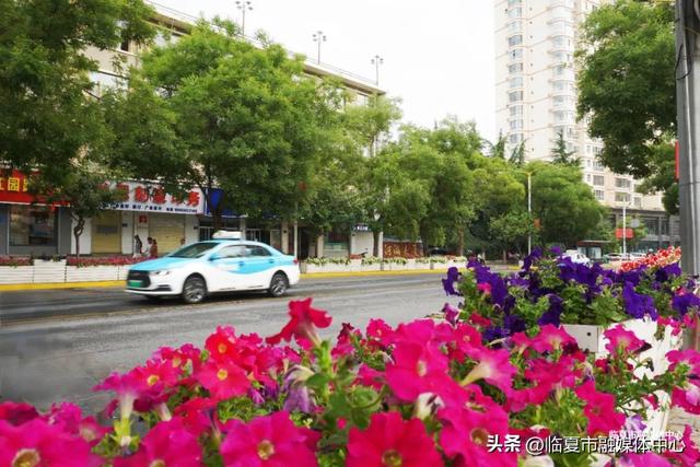 临夏市：一座把“浪漫”写进马路牙子的城市
