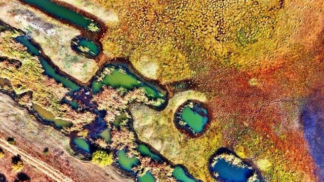 内蒙古杭锦旗：湿地秋景惹人醉