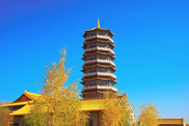 酒泉金塔胡杨林，时光凝固成美丽的神话，奔赴一场秋季的浪漫之旅