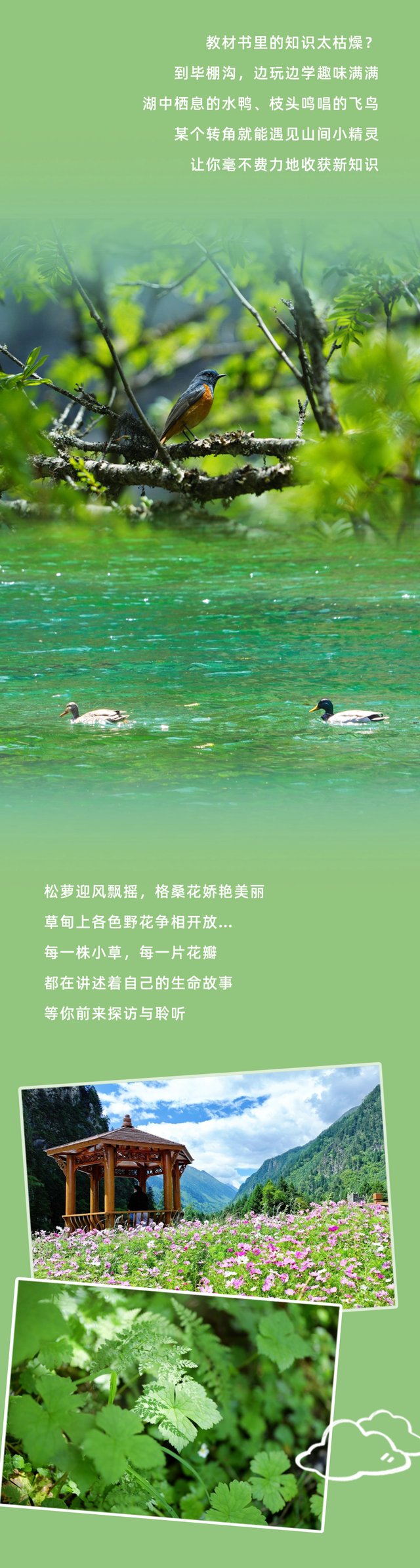 专治开学EMO，毕棚沟自然大课堂开讲啦！