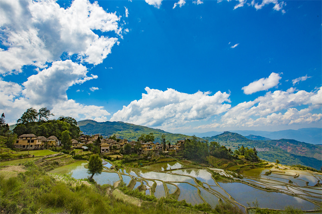 周年限定！快来阿者科当一天“哈尼公主”