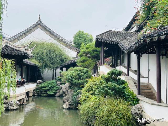 散文随笔：南京，南京