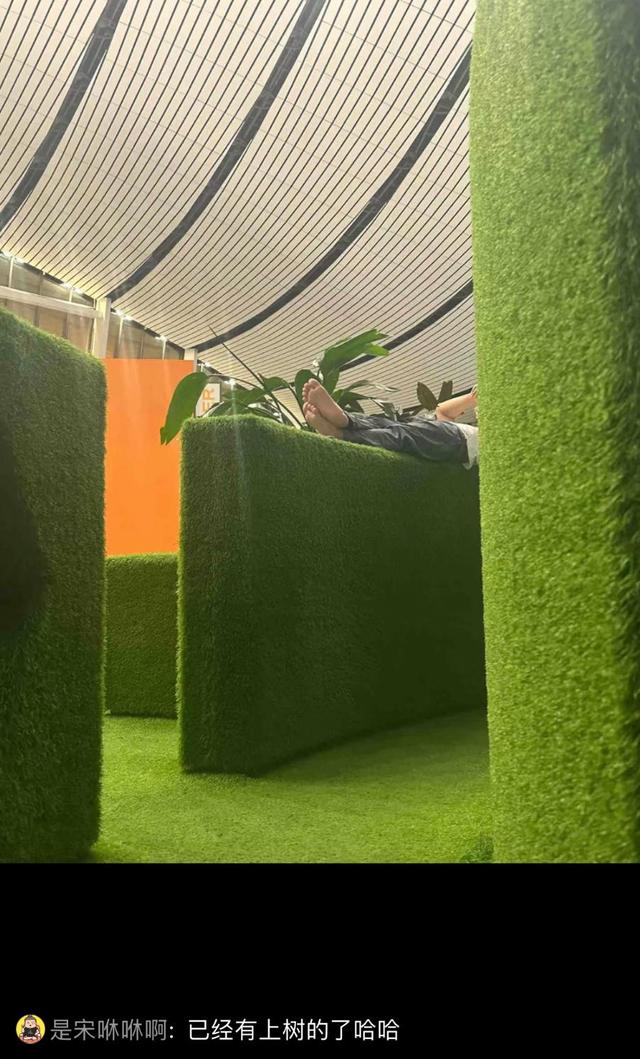 旅客睡成一片，大兴机场却成了“深夜避风港”？一句话点醒行业