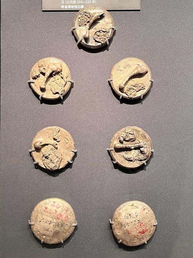 参观楚文化博物馆,了解五国都城寿县的悠久历史
