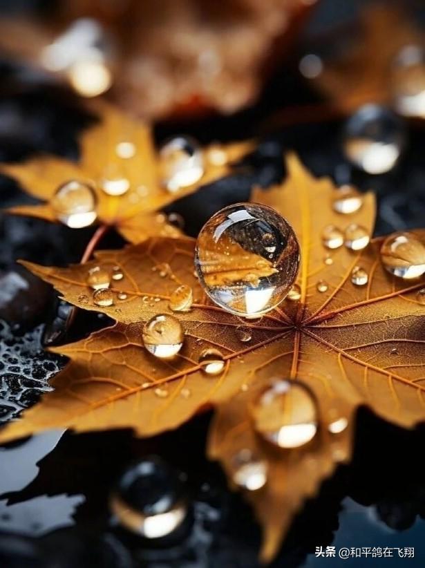 长假里的雨幕秋思