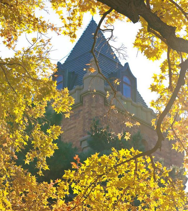 百年鎏金一树秋 | 在松苑咖啡馆，与长春最诗意的五角枫隔窗对望