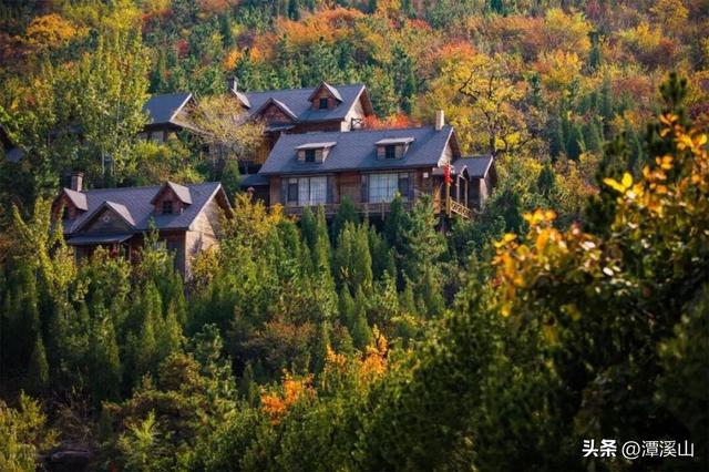 在淄博也能野奢度假！住进这三家山野民宿，成为风景的一部分​……​（文末有优惠）