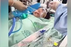 成都于明年禁养罗威纳犬，此前已养的该怎么处理？图片