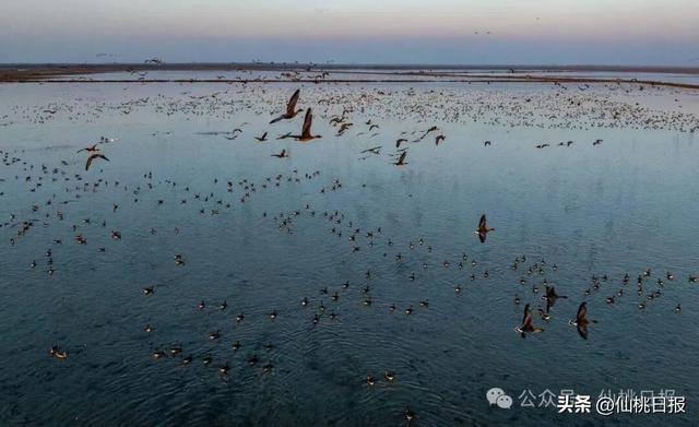 @仙桃人，这回大家真的要关注呀！