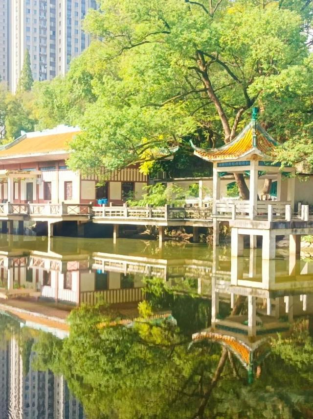 游在鹰潭｜这座城市秋日杀疯了！4重甜感暴击，谁来谁上头！「全球学子嘉游赣 奇绝鹰潭逍遥游」