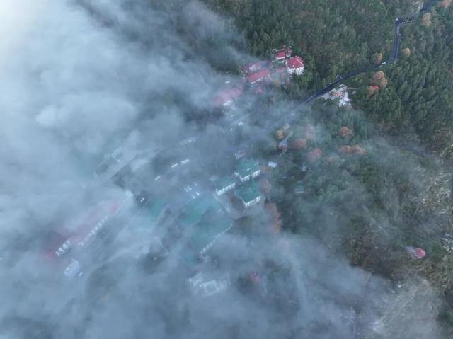 云瀑倾泻梧叶黄：庐山秋景缤纷奇