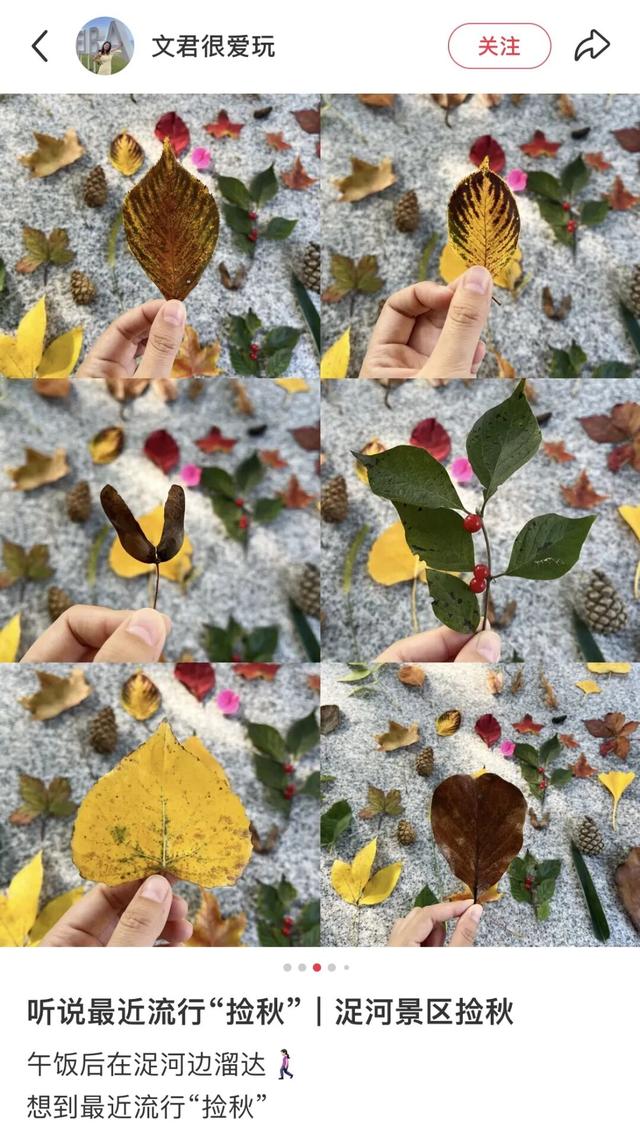 我捡，我捡，我在潍坊捡捡捡！