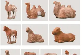 首次考古发掘的唐新罗质子墓揭开墓主生平图片