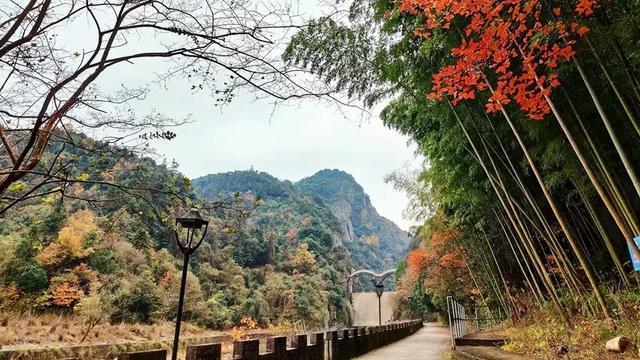 趣清凉·享太平 | 从“人从众”到“躺进山野”！东黄山让这届年轻人上头了！|皖美夏日