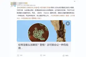 冲上热搜！长期湿发睡觉染上这种菌会致癌？图片