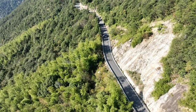 富阳这个网红村，游客车辆从山脚排到村里！