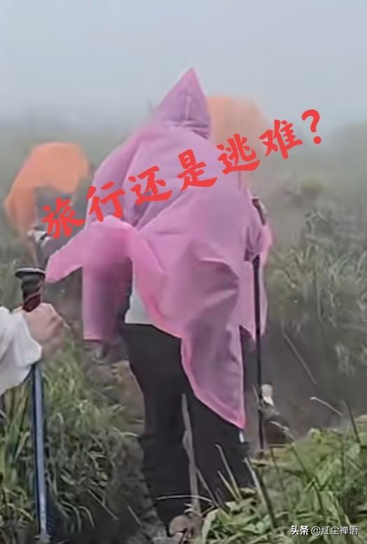 这个国庆全是伤，又输液来又熬汤，一瘸一拐回家乡
