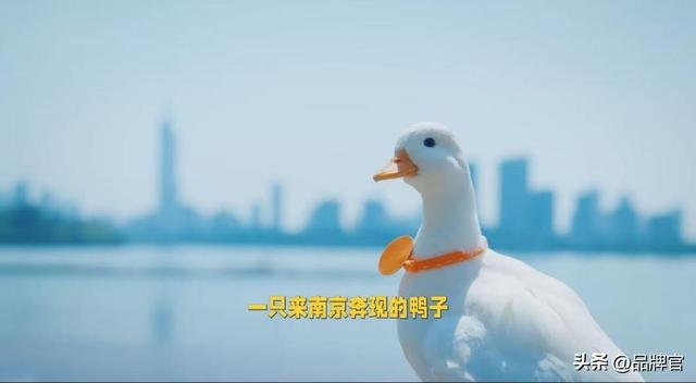 “鸭中爱马仕”跌落神坛，从上万一只到300元甩卖无人在意！