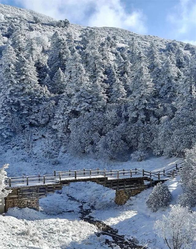 【联动宣传】陇南冬韵三重奏：冰雪秘境、桃源康养与诗意画廊