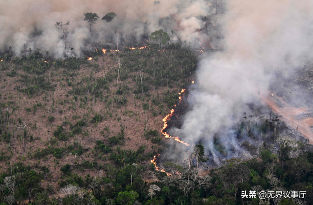 中国人吃肉蛋奶毁雨林？外媒双标玩得溜，中企护林行动证清白