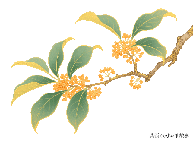 又一5A景区官宣永久免费！年入数亿，关键是秋天美到词穷！