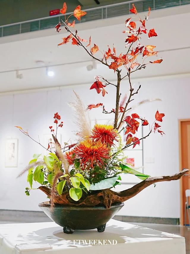 “内存拍爆了！”福田这条打卡路线，太出片！