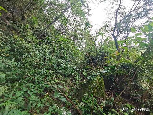 探寻龙眼山古寺遗址，一次最为艰难的野外探险之旅