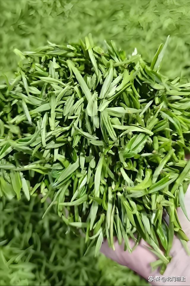 自然与人文交织，这个小山村靠“贡茶文化”走出了特色发展之路