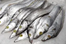 买带鱼，碰到这3种带鱼转身走就对了！水产店老板：从不让家人吃图片