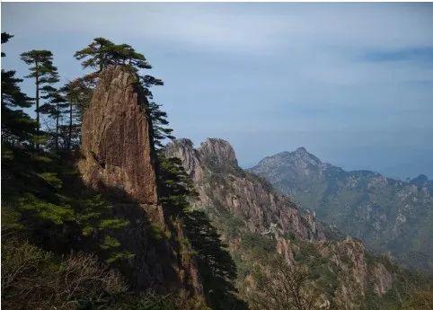 黄山·研学行 | 来黄山5天4晚亲子深度游，解锁N种快乐！| 皖美夏日