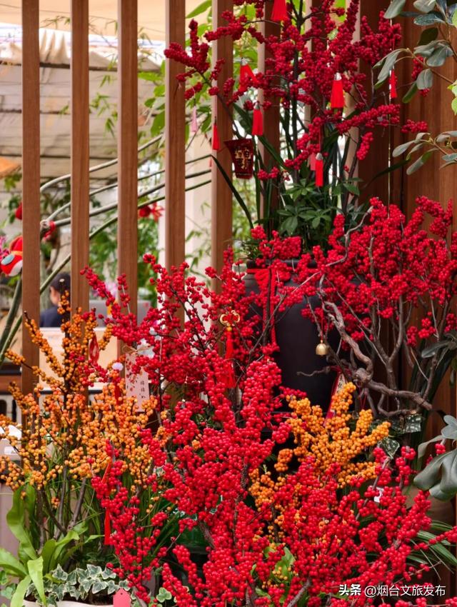 【乐游烟台】周末好去处丨全是花花！烟台神仙小店被花包围了
