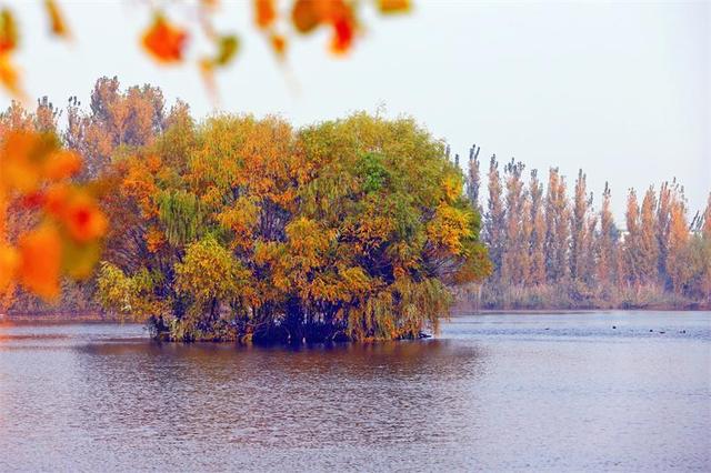岱岳区夏张镇东城水库：色彩斑斓 秋景如画