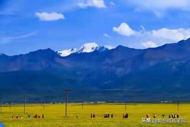 两性关系，65女人大实话，男人过了70岁，只剩下一个用处