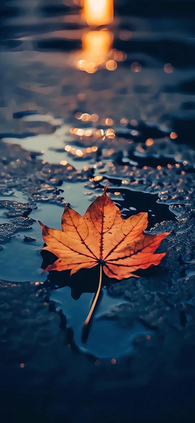 iphone壁纸｜你的壁纸该换了
