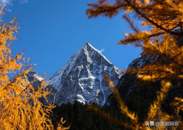 穿越520公里的山河壮阔！这条川西环线也太懂浪漫了！