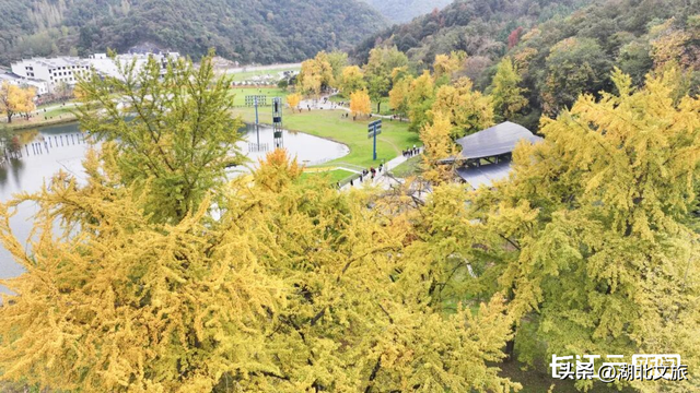 评分秋色：随州为啥被称为“杏”运城市？
