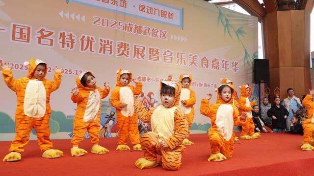 2025成都武侯区首届十国名特优消费展暨音乐美食嘉年华圆满收官
