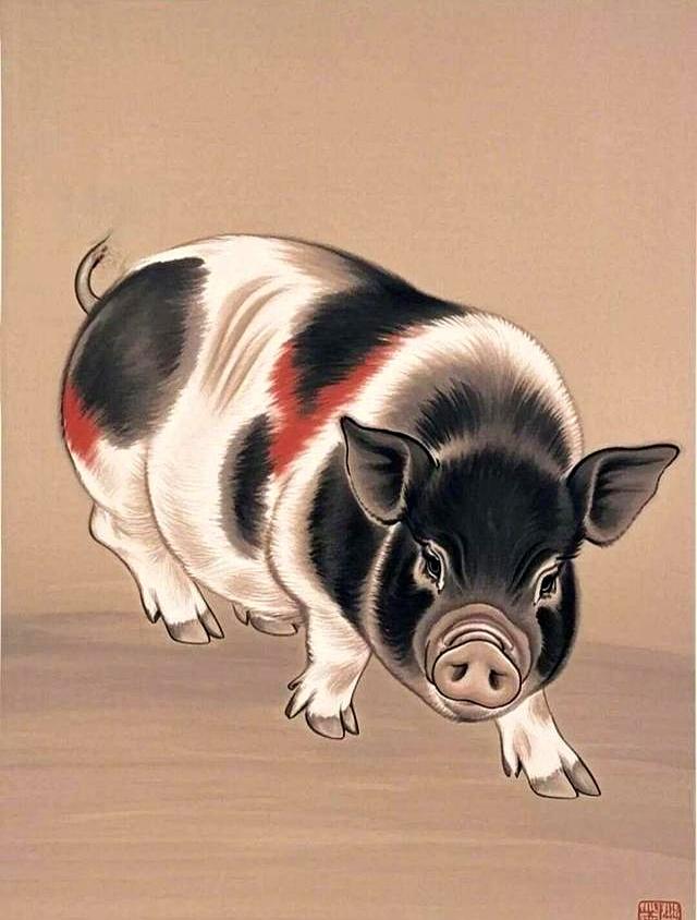 生肖猪：这辈子能跟你交深的！就这俩，其他都是萍水相逢