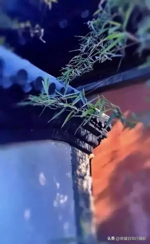 震撼!故宫瓦当,紫禁城守望者;中式美学老屋瓦当 只有中国人才懂