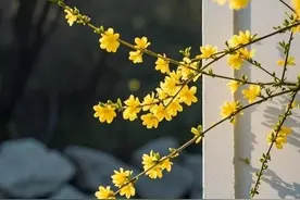 学会心狠的十个办法！狠心不是无情，是给善良穿盔甲。图片