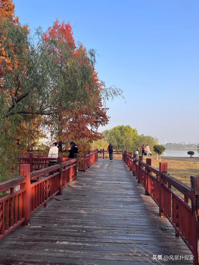 南昌凤凰洲湿地公园，美的不像话！