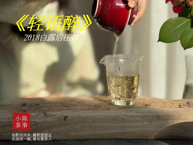 秋天为什么要多喝老白茶？2个难以拒绝的优势，看看你喝对了吗？