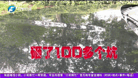 调车遇冰雹 男子新车被砸100多个坑