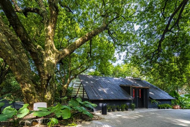 肇庆老村屋“爆改”新晋打卡点！是“向往的生活”没错了