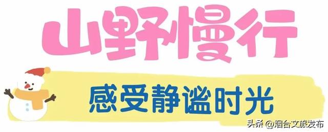 【乐游烟台】目测要火！烟台这座小城最近好看得离谱